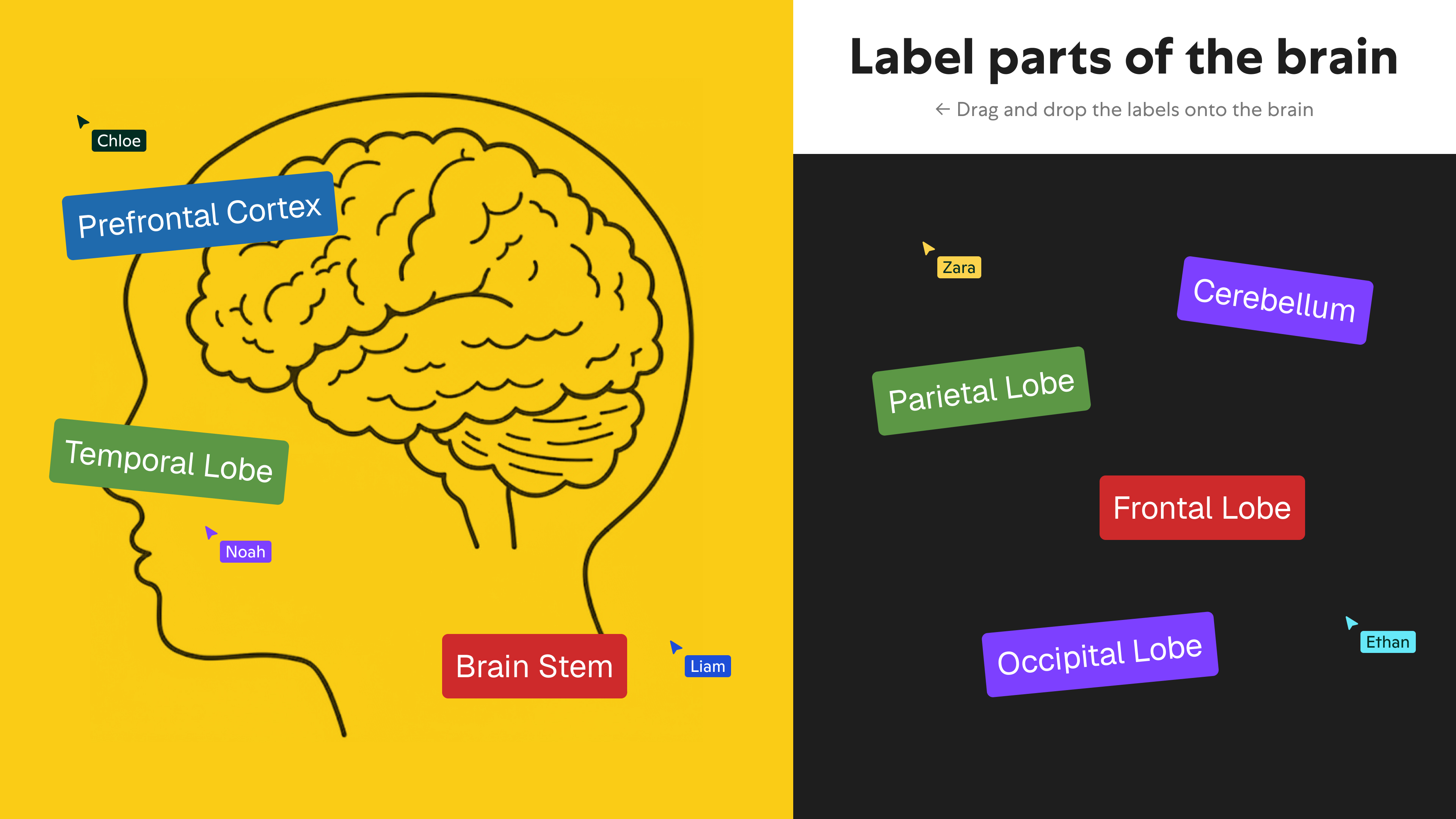 Dojo Tutor interactive learning activity, slide 4 of 5